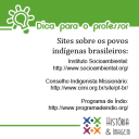 Sites sobre os indígenas do Brasil