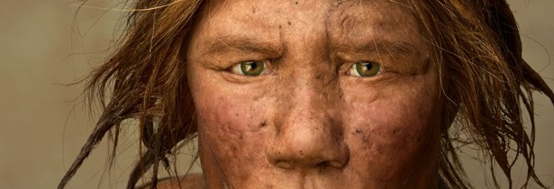 Humanos e neandertais coexistiram na Europa por mais de 5 mil anos